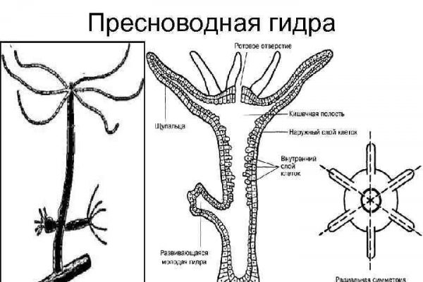 Кракен сайт официальный зеркало