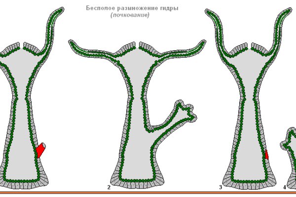 Кракен мага