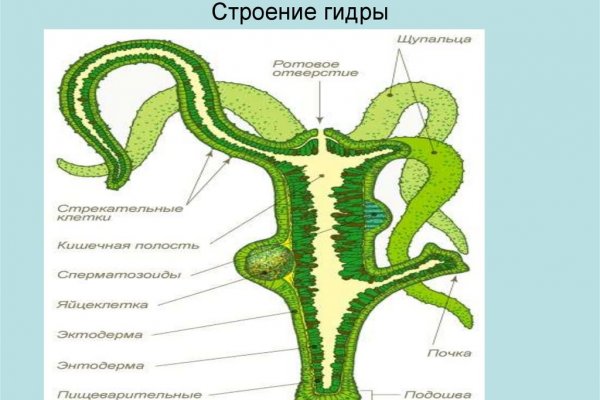 Кракен заблокировали