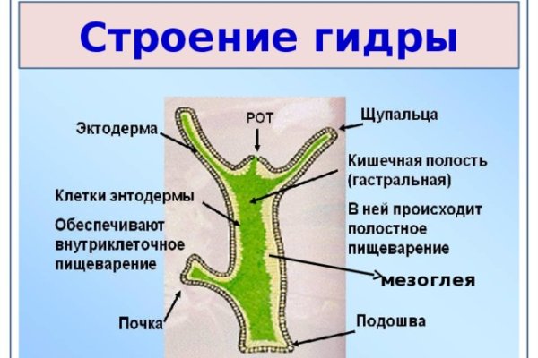 Кракен пишет пользователь не найден