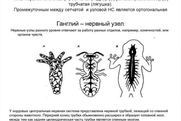 Kraken ссылка kraken link24 info